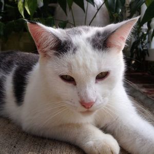 Meet your Posher, Jane